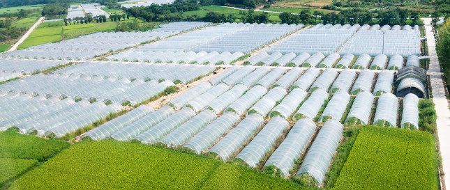Agriculture & Irrigation